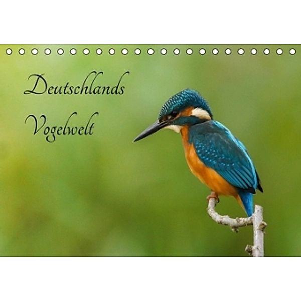 Deutschlands Vogelwelt (Tischkalender 2016 DIN A5 quer), Alexander Honold