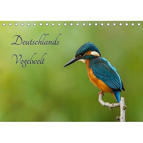 Deutschlands Vogelwelt (Tischkalender 2017 DIN A5 quer), Alexander Honold
