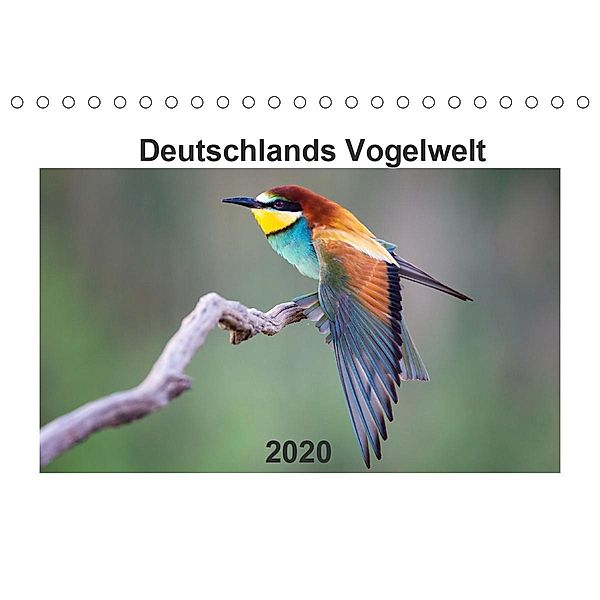 Deutschlands Vogelwelt (Tischkalender 2020 DIN A5 quer), Björn Reibert