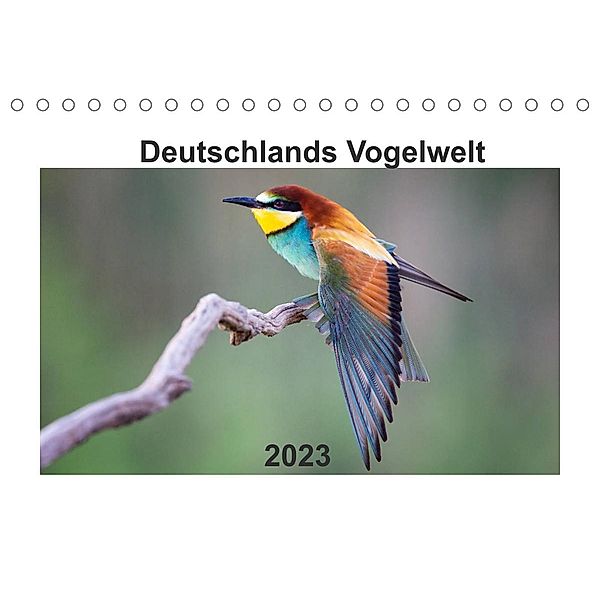 Deutschlands Vogelwelt (Tischkalender 2023 DIN A5 quer), Björn Reibert