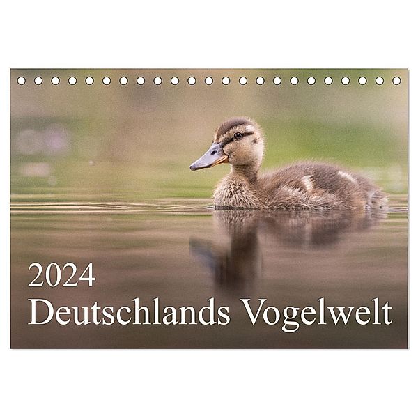 Deutschlands Vogelwelt (Tischkalender 2024 DIN A5 quer), CALVENDO Monatskalender, Thies Wiechert