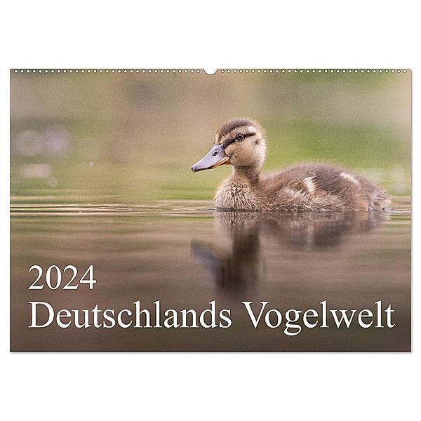 Deutschlands Vogelwelt (Wandkalender 2024 DIN A2 quer), CALVENDO Monatskalender, Thies Wiechert