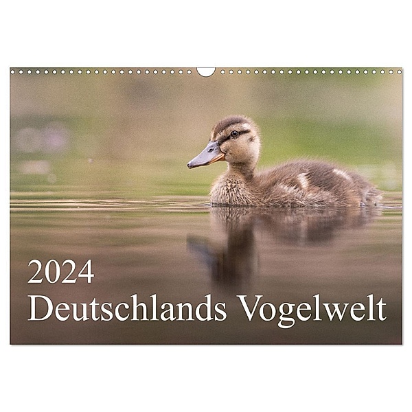 Deutschlands Vogelwelt (Wandkalender 2024 DIN A3 quer), CALVENDO Monatskalender, Thies Wiechert