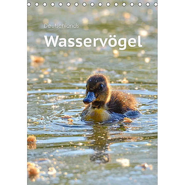 Deutschlands Wasservögel (Tischkalender 2020 DIN A5 hoch), Robert Styppa
