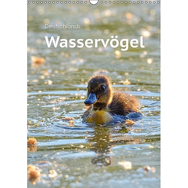 Deutschlands Wasservögel (Wandkalender 2018 DIN A3 hoch) Dieser erfolgreiche Kalender wurde dieses Jahr mit gleichen Bil, ROBERT STYPPA