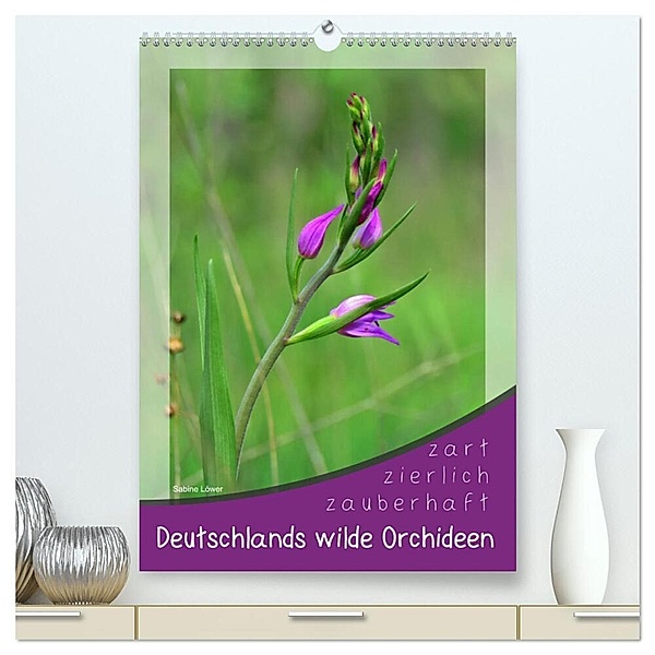 Deutschlands wilde Orchideen (hochwertiger Premium Wandkalender 2024 DIN A2 hoch), Kunstdruck in Hochglanz, Sabine Löwer