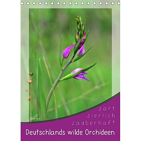 Deutschlands wilde Orchideen (Tischkalender 2020 DIN A5 hoch), Sabine Löwer