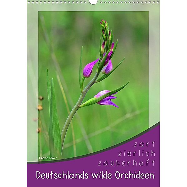 Deutschlands wilde Orchideen (Wandkalender 2022 DIN A3 hoch), Sabine Löwer