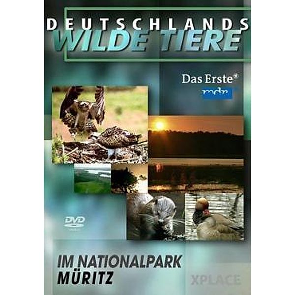 Deutschlands wilde Tiere - Im Nationalpark Müritz