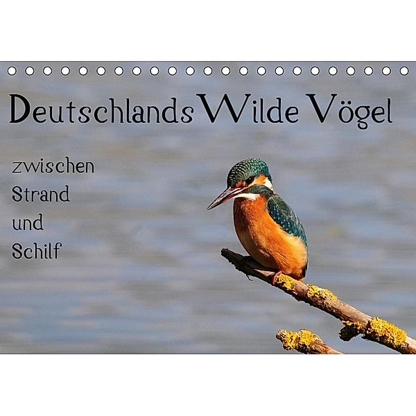 Deutschlands wilde Vögel zwischen Strand und Schilf (Tischkalender 2020 DIN A5 quer), Marvin Lebeus