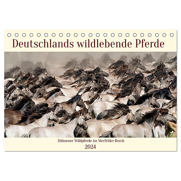 Deutschlands wildlebende Pferde (Tischkalender 2024 DIN A5 quer), CALVENDO Monatskalender, Marcel René Grossmann