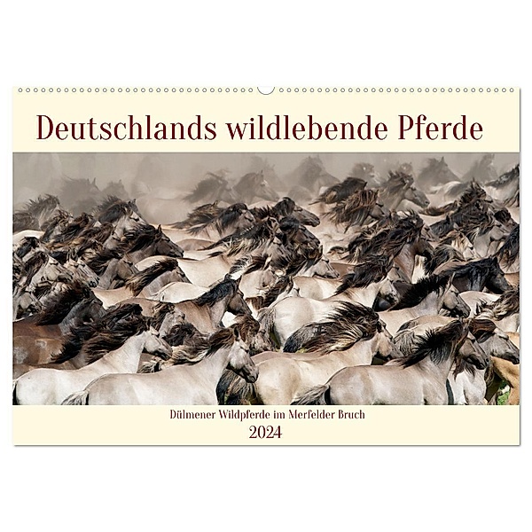 Deutschlands wildlebende Pferde (Wandkalender 2024 DIN A2 quer), CALVENDO Monatskalender, Marcel René Grossmann