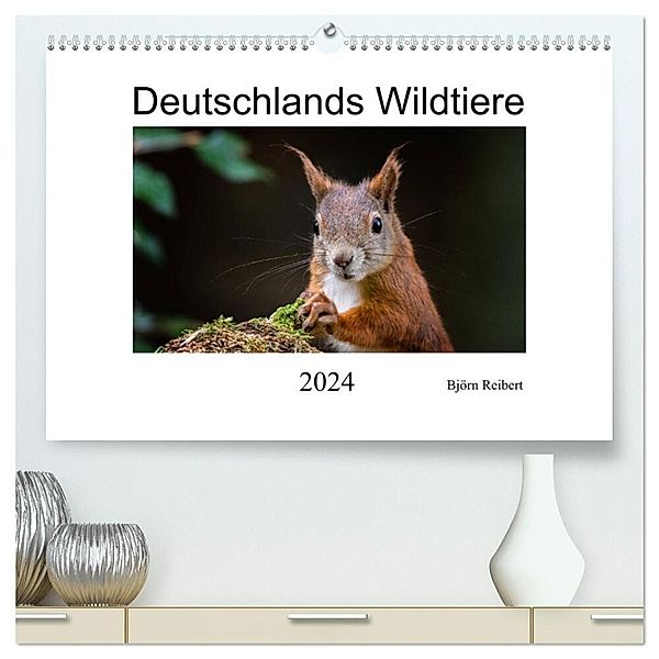 Deutschlands Wildtiere (hochwertiger Premium Wandkalender 2024 DIN A2 quer), Kunstdruck in Hochglanz, Björn Reibert