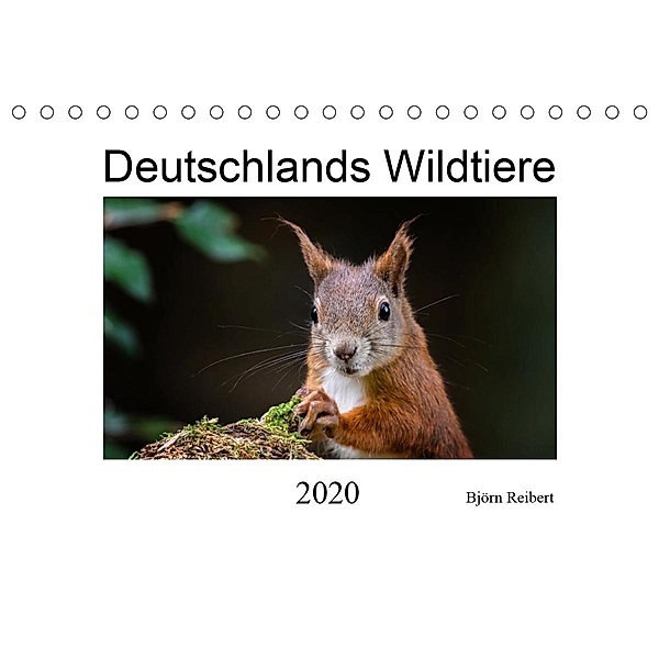Deutschlands Wildtiere (Tischkalender 2020 DIN A5 quer), Björn Reibert