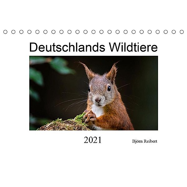 Deutschlands Wildtiere (Tischkalender 2021 DIN A5 quer), Björn Reibert