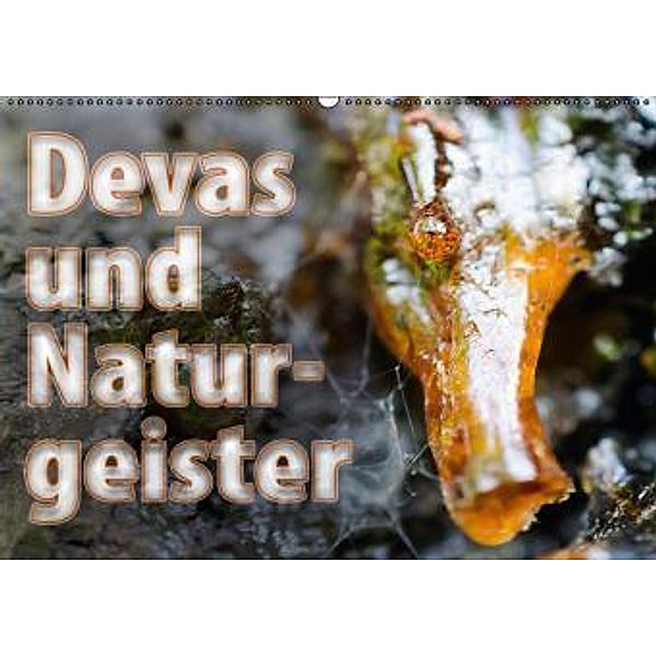 Devas und Naturgeister (Wandkalender 2015 DIN A2 quer), Gábor Wallrabenstein