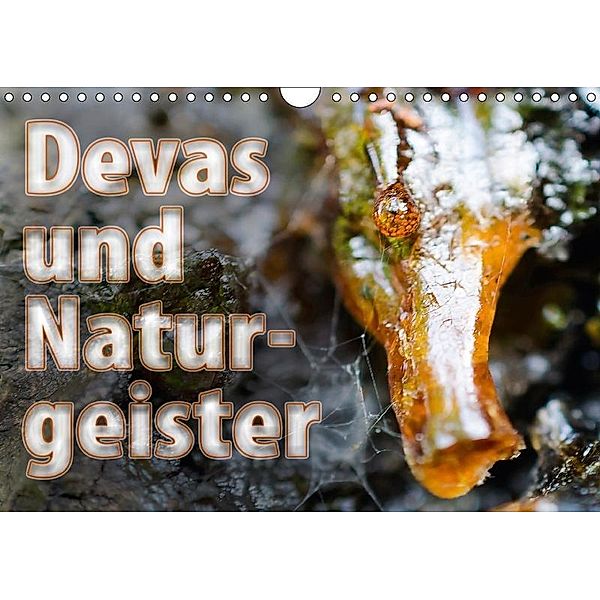 Devas und Naturgeister (Wandkalender 2017 DIN A4 quer), Gábor Wallrabenstein