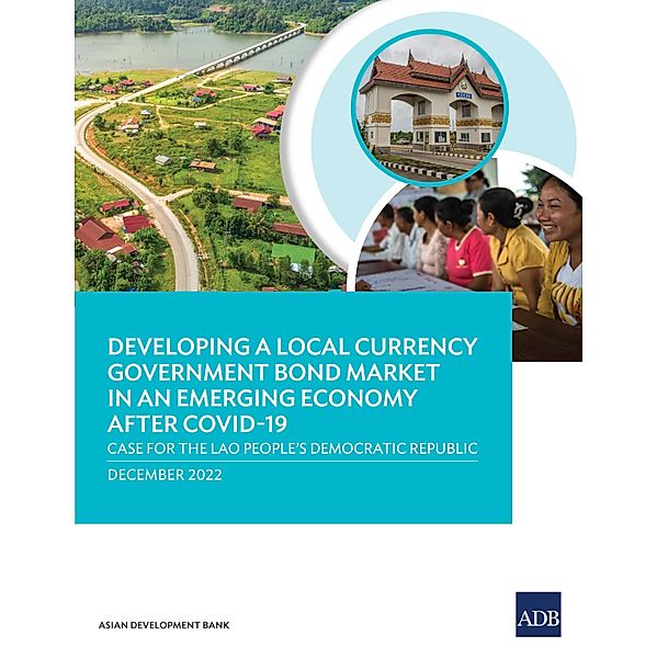 Developing a local currency government Bond market in an emerging economy after COVID-19