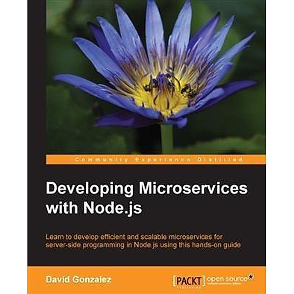 Developing Microservices with Node.js, David Gonzalez