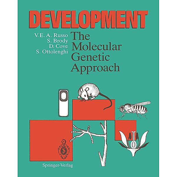 Development, Vincenzo E.A. Russo, Stuart Brody, David Cove, Sergio Ottolenghi