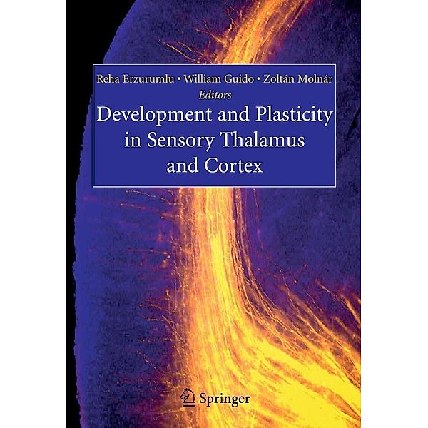 Development and Plasticity in Sensory Thalamus and Cortex