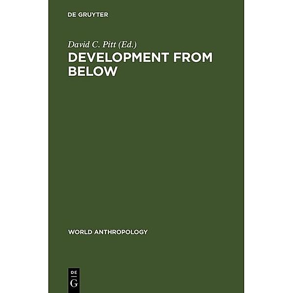 Development from Below / World Anthropology