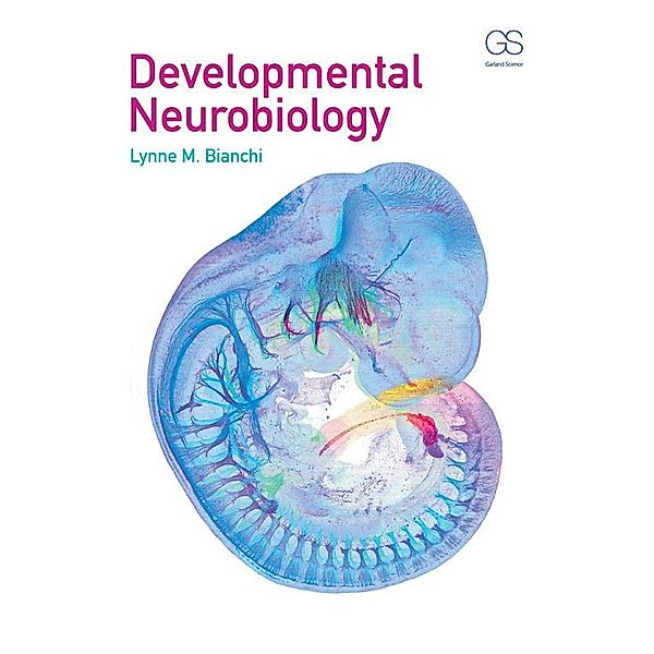 Developmental Neurobiology, Lynne Bianchi