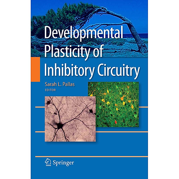 Developmental Plasticity of Inhibitory Circuitry