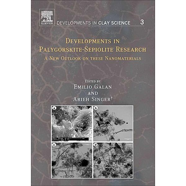 Developments in Palygorskite-Sepiolite Research