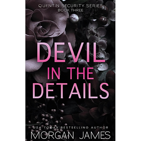 Devil in the Details (Quentin Security Series, #3) / Quentin Security Series, Morgan James
