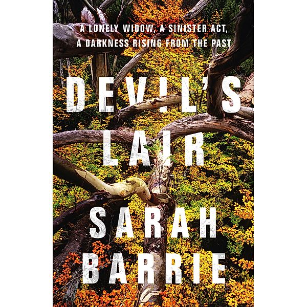 Devil's Lair / Calico Mountain Bd.02, Sarah Barrie