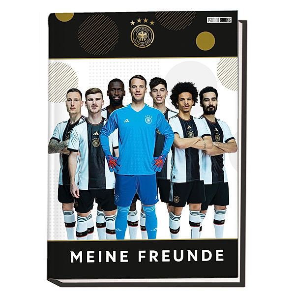 DFB: Meine Freunde, Panini