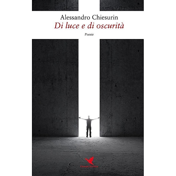 Di luce e di oscurità, Alessandro Chiesurin