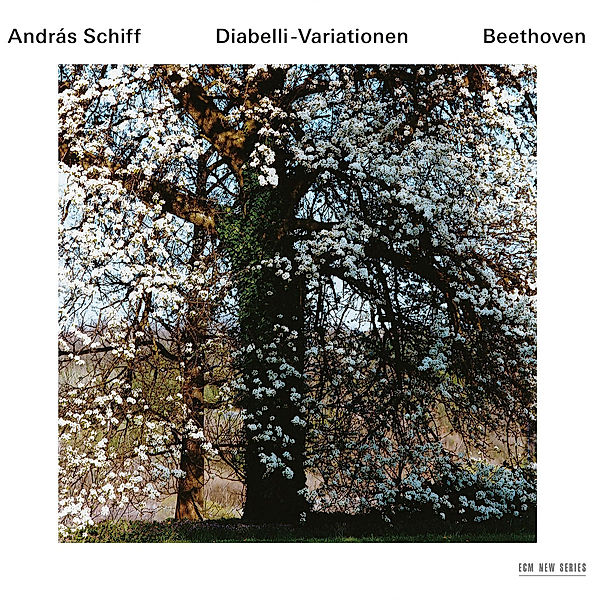 Diabelli-Variationen, Ludwig van Beethoven
