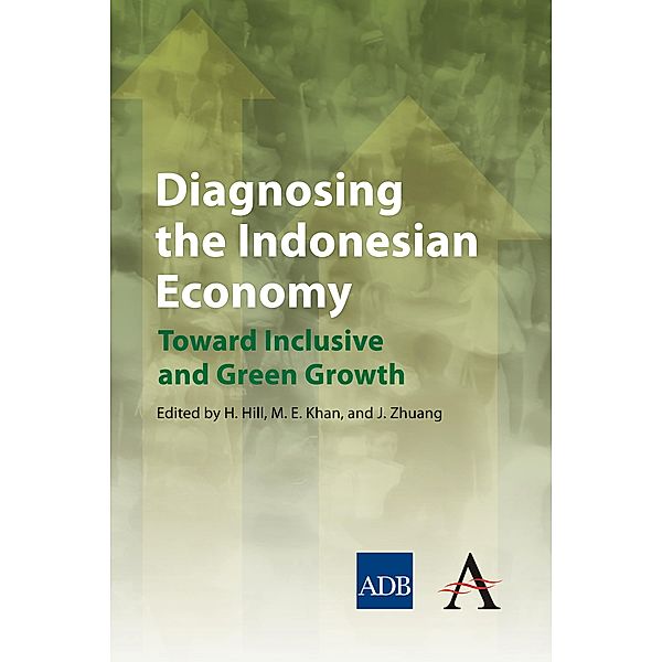 Diagnosing the Indonesian Economy / Anthem Southeast Asian Studies