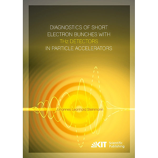 Diagnostics of Short Electron Bunches with THz Detectors in Particle Accelerators, Johannes Leonhard Steinmann