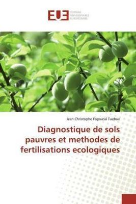 Diagnostique de sols pauvres et methodes de fertilisations ecologiques - Jean Christophe Fopoussi Tuebue,