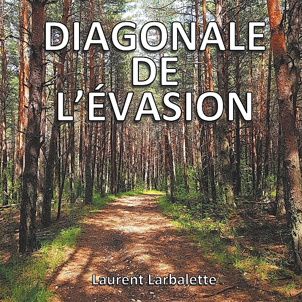 Diagonale de l'évasion, Laurent Larbalette