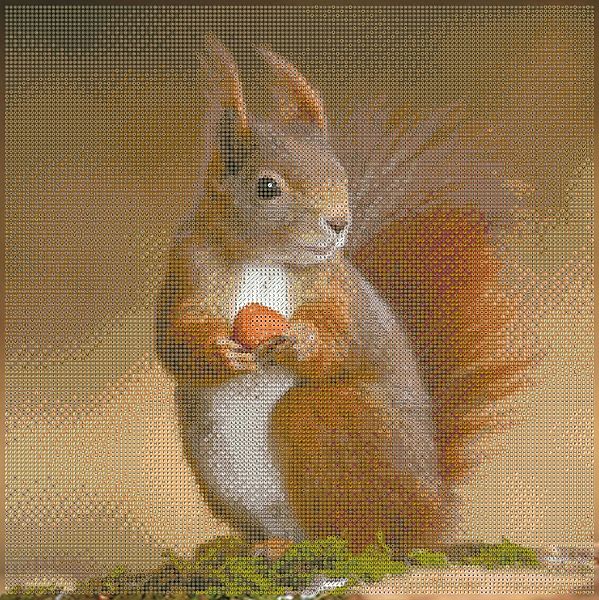 Diamond Painting Eichhörnchen 40 x 40 cm