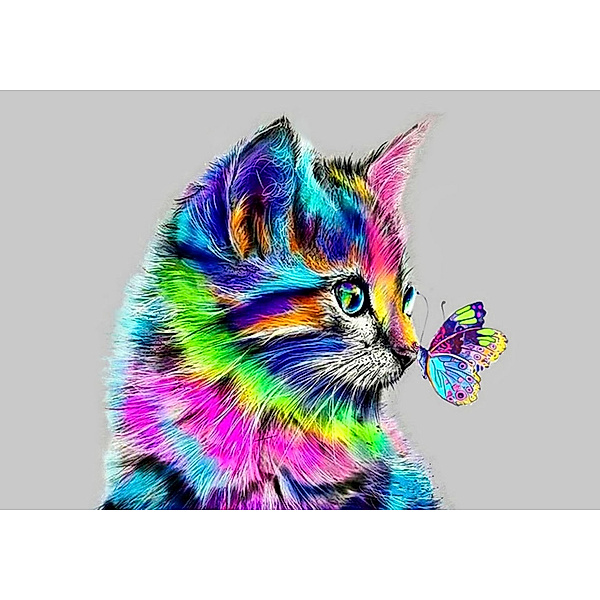 Diamond Painting Katze mit Schmetterling 50 x 40 cm
