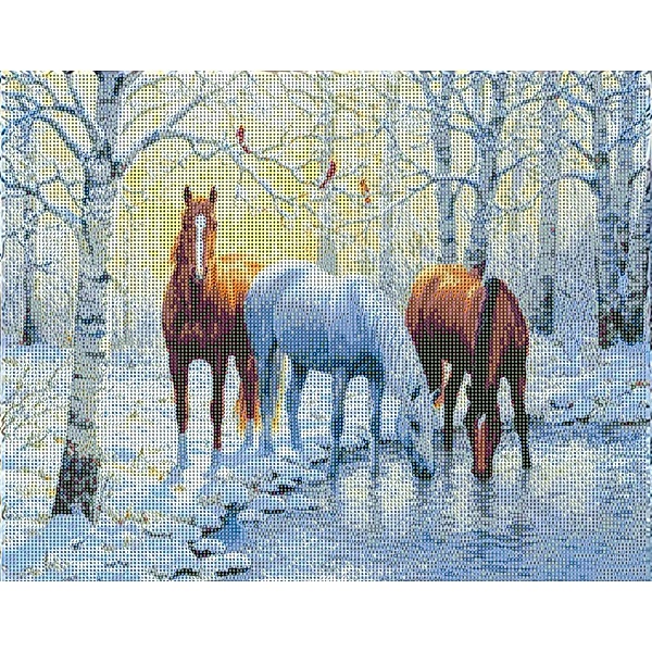 Diamond Painting Pferde im Birkenwäldchen 50 x 40 cm