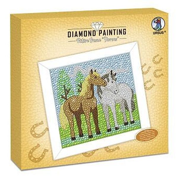 Diamond Painting Picture Frame Horses