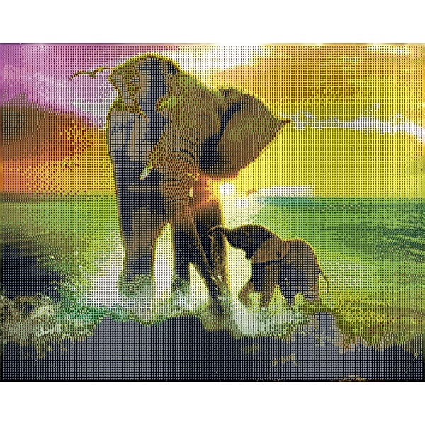 Diamond Painting Sommer-Elefanten 50 x 40 cm