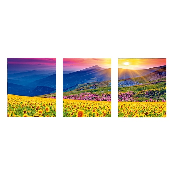 Diamond Painting  Sonnenblumen und Berge Triptychon, 3 x 40 x 30 cm
