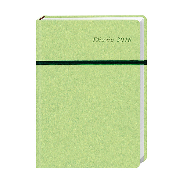Diario 17-Monats-Kalenderbuch A6, hellgrün 2016