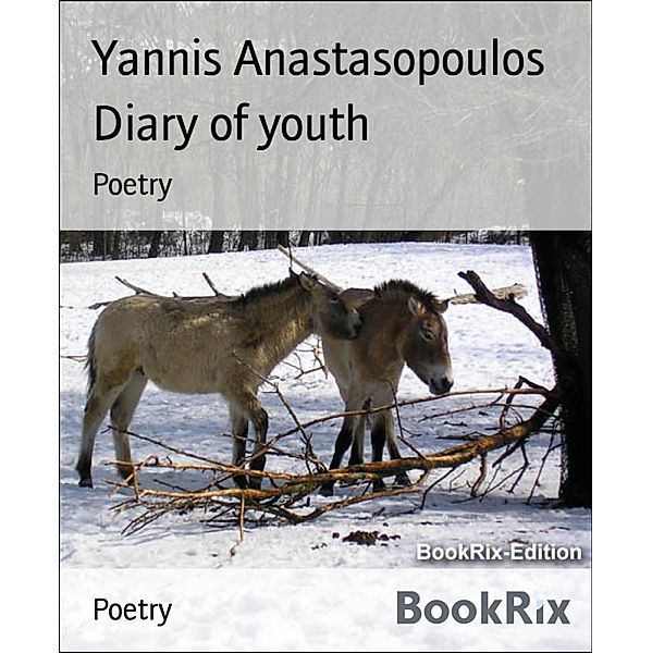 Diary of youth, Yannis Anastasopoulos