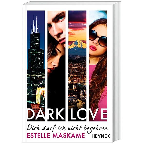 Dich darf ich nicht begehren / Dark love Bd.3, Estelle Maskame