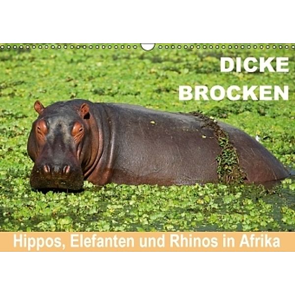 Dicke Brocken - Hippos, Elefanten und Rhinos in Afrika (Wandkalender 2016 DIN A3 quer), Wibke Woyke