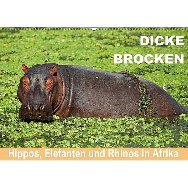 Dicke Brocken - Hippos, Elefanten und Rhinos in Afrika (Wandkalender 2017 DIN A2 quer), Wibke Woyke