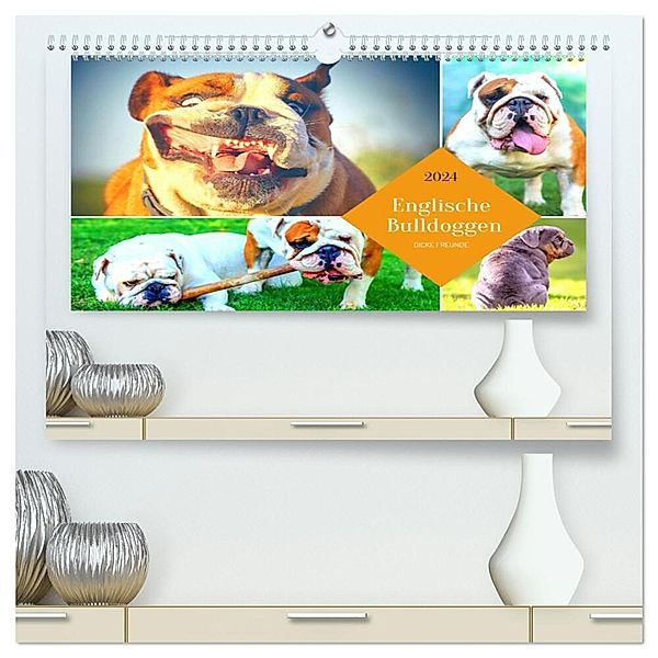 Dicke Freunde. Englische Bulldoggen (hochwertiger Premium Wandkalender 2024 DIN A2 quer), Kunstdruck in Hochglanz, Rose Hurley